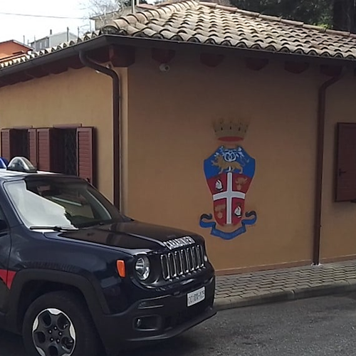 Nascondeva droga nel canile di sua proprietà, 37enne arrestato a San Vincenzo La Costa