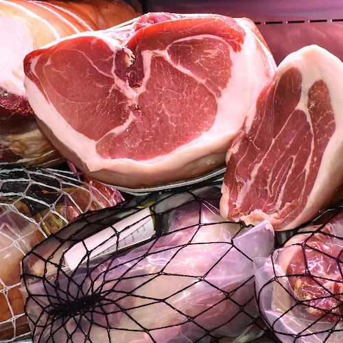 Negli Stati Uniti via libera alla prima “carne” in provetta. Ma l'Italia non ci sta: «Contrari ai cibi sintetici» 