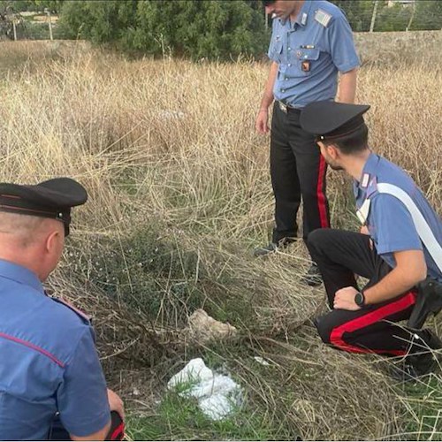 Neonato abbandonato nei campi all'interno di un sacchetto di plastica, salvato dai carabinieri di Trapani 