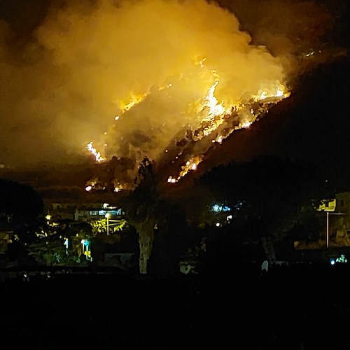 Notte di fuoco ad Ischia, vasto incendio sul Monte Epomeo: probabile origine dolosa 