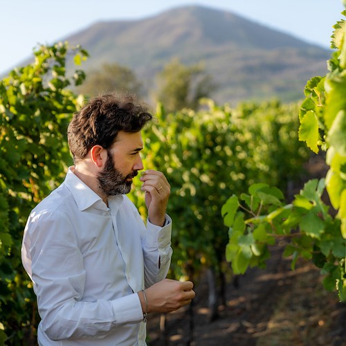 Oscar del Vino a Vincenzo Mercurio: il miglior enologo italiano viene dalla Campania
