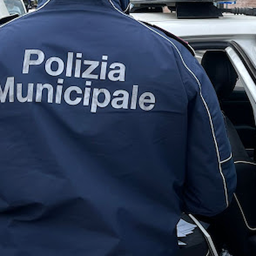 Palinuro, eleva multa di 18 euro: giovane ausiliare del traffico aggredita da coniugi 