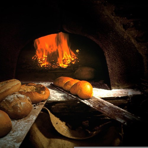 Pane cotto con scarti di legno sporchi di vernice, scatta sequestro in un panificio di Marigliano