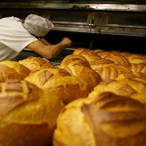 Pane cotto con scarti di legno sporchi di vernice, scatta sequestro in un panificio di Marigliano