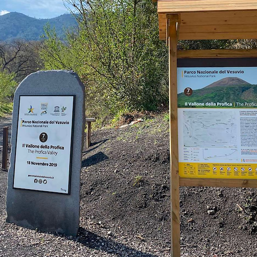 Parco del Vesuvio, il Tar Campania sospende la nomina del commissario straordinario 