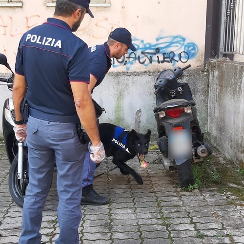 Maxi-operazione Alto Impatto nel quartiere “Parco Verde”<br />&copy; Polizia di Stato