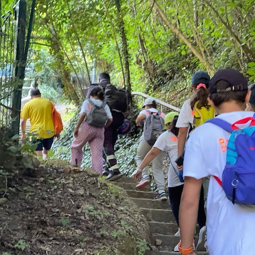Piano di Sviluppo Rurale, Abbac dice sì al bando e cerca microimprese in Costa d'Amalfi e Penisola Sorrentina 