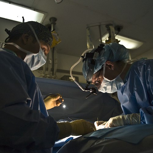 Medici Chirurghi <br />&copy; Foto di 12019 da Pixabay