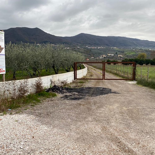 Polo della Nocciola, cantiere abbandonato: "dove sono finiti i fondi?", l'interrogazione dell'onorevole Bicchielli