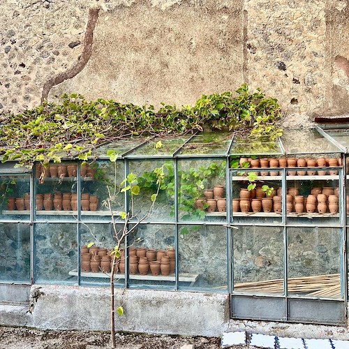  Pompei, per la "Giornata nazionale del paesaggio" un viaggio alla scoperta delle colture del passato