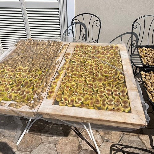 Positano, la tradizione dei fichi essiccati in casa prosegue grazie a Regina Barba a Montepertuso
