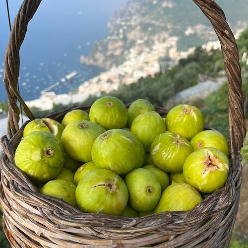 Positano, la tradizione dei fichi essiccati in casa prosegue grazie a Regina Barba a Montepertuso