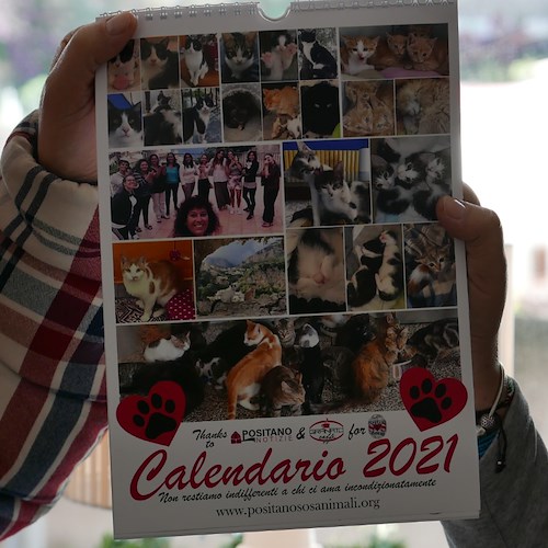 Positano Notizie e Granato Caffè main sponsor del calendario "Positano SOS Animali ODV": insieme per la cura dei gattini