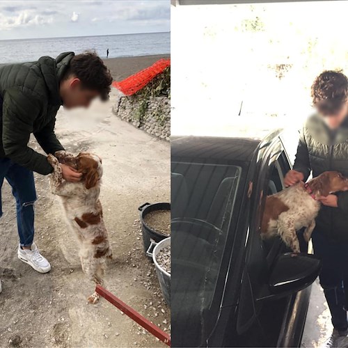 Positano: posta foto di cane smarrito su Fb, dopo 2 ore trovato il padrone