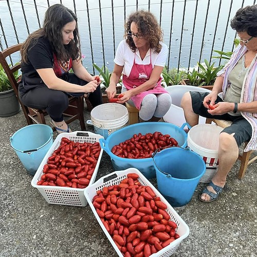 Positano, una tradizione che si rinnova in casa Fusco: a settembre le conserve di pomodoro / FOTO 