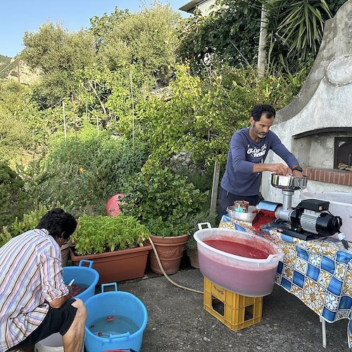 Positano, una tradizione che si rinnova in casa Fusco: a settembre le conserve di pomodoro / FOTO 