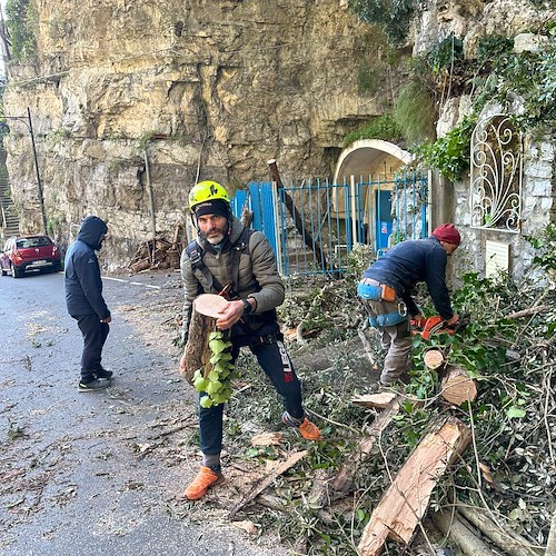 Positano, vento forte fa crollare rami secchi e danneggia auto in sosta. Lavori urgenti di pulizia /foto /video