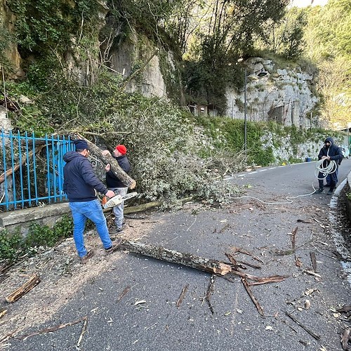 Positano, vento forte fa crollare rami secchi e danneggia auto in sosta. Lavori urgenti di pulizia /foto /video