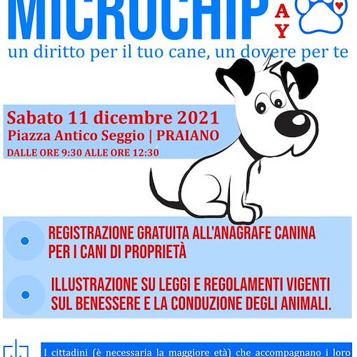 Praiano, 11 dicembre "microchip day" in Piazza Antico Seggio