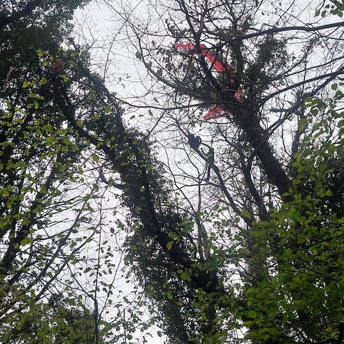 Precipita col parapendio e rimane impigliata su un albero: donna salvata a Travesio 