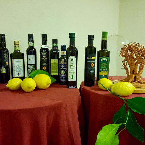 "Premio Sirena d'Oro", a Sorrento un mese di eventi dedicati all'olio extravergine di oliva