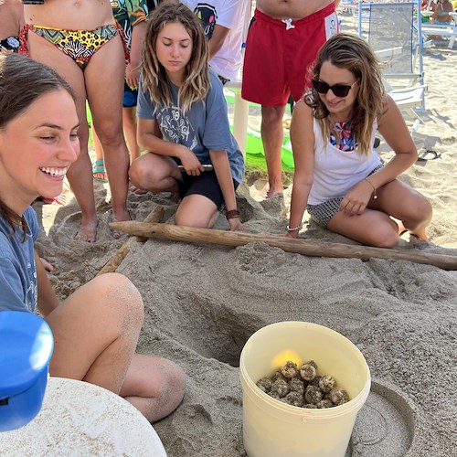 Prima l'avvistamento, poi la sorpresa in spiaggia: mamma tartaruga depone 96 uova a Marina di Camerota 