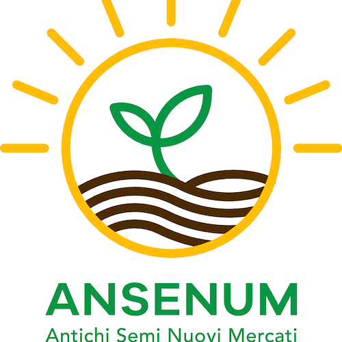 Progetto "ANSENUM, antichi semi e nuovi mercati". Diminure l'impatto ambientale: ecco gli incontri
