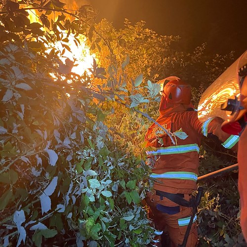 Protezione civile, in Campania 399 incendi boschivi in due mesi. E la stagione estiva non è ancora finita...