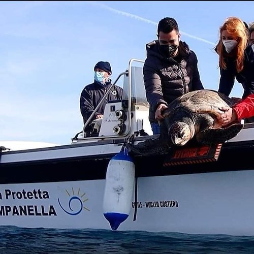 Punta Campanella, l'Area Marina torna in Rai con l'intervista al presidente Lucio Cacace 