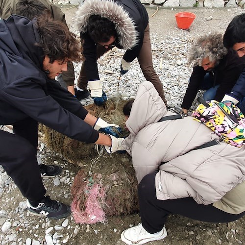 Punta Campanella, raccolti e smaltiti 250 kg di rifiuti spiaggiati a Puolo