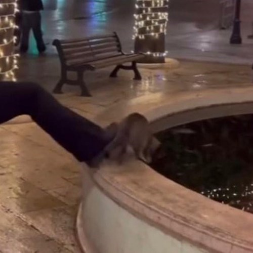 Ragazza spinge a calci un gattino nella fontana, Grey muore congelato e annegato. Indignazione ad Alberobello