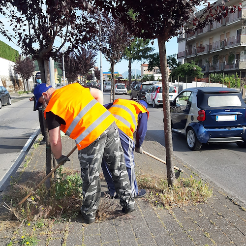 Reddito di Cittadinanza, a Cava de' Tirreni partono nuovi Progetti Utili alla Collettività (PUC) 