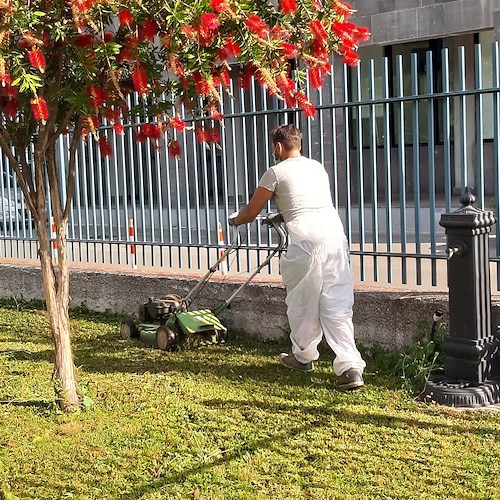 Reddito di Cittadinanza, a Cava de' Tirreni partono nuovi Progetti Utili alla Collettività (PUC) 