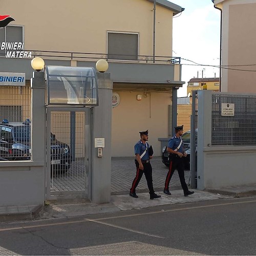 Rischia la vita dopo puntura di un calabrone, anziano riesce a raggiungere i carabinieri: salvo in extremis 