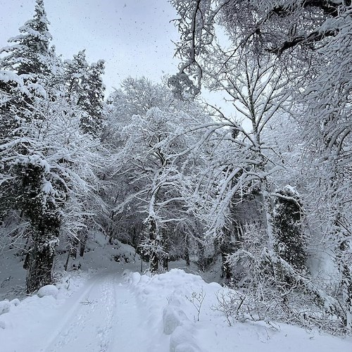 Risveglio con la neve su Monte Faito, le foto di Fabio Fusco 