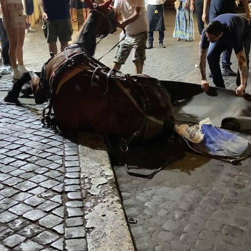 Roma, cavallo crolla al suolo davanti alla Fontana di Trevi 