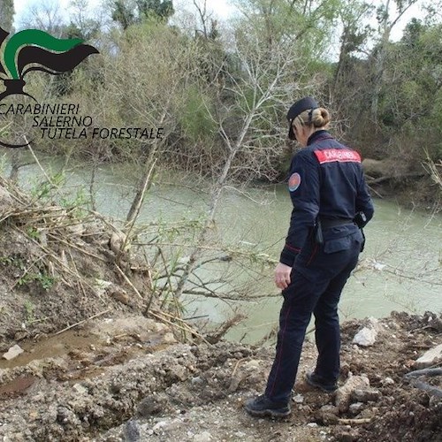 Azienda bufalina sequestrata ad Eboli<br />&copy; Carabinieri Salerno