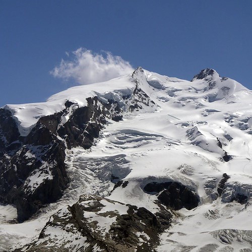 Scioglimento ghiacciai, marmotta mummificata trovata sul Monte Rosa a 4200 metri di quota 
