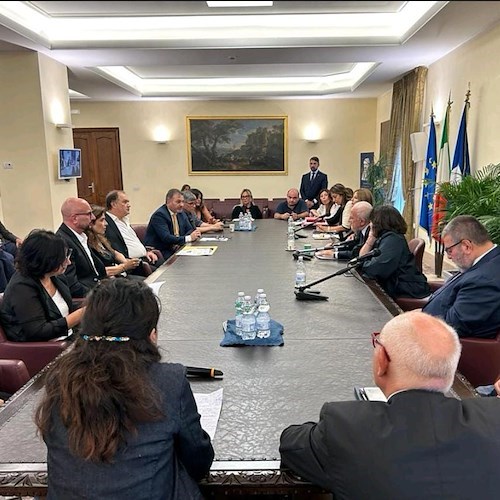 Riunione in Regione Campania<br />&copy; Regione Campania