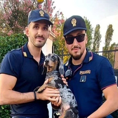 Cagnolino rischia di annegare nel Naviglio<br />&copy; Questura di Milano