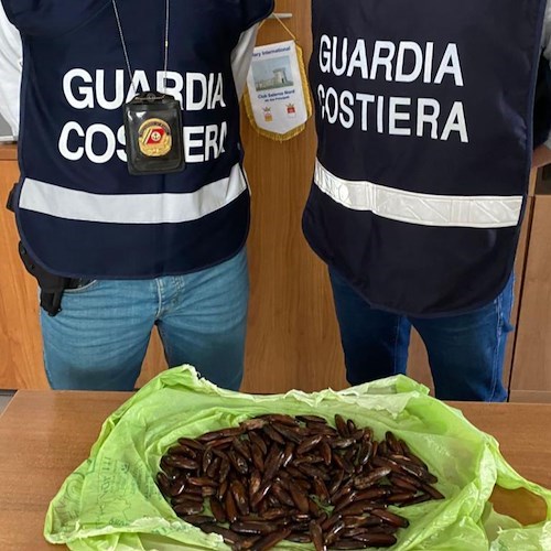 Preleva datteri di mare: interviene la Guardia Costiera di Salerno