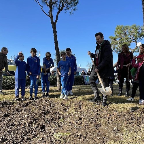 Sorrento, celebrata la Festa dell'Albero con la partecipazione degli alunni delle scuole 