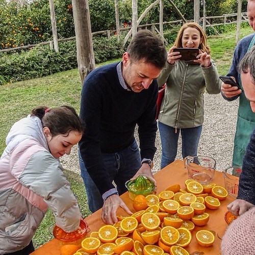 Sorrento, oltre 300 alunni delle scuole allo Spremuta Day