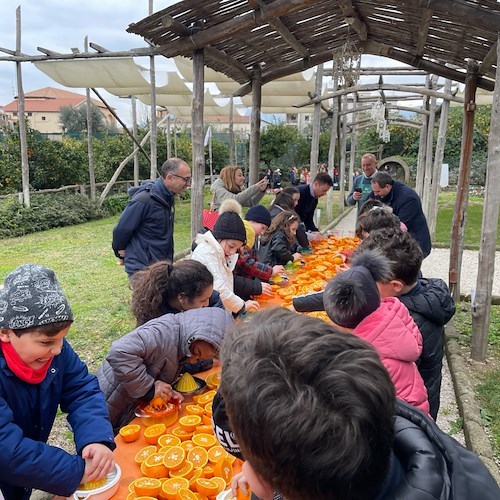 Sorrento, oltre 300 alunni delle scuole allo Spremuta Day