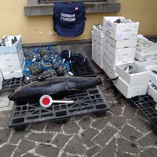 Sorrento: sequestrate oltre 2 tonnellate di prodotti ittici non tracciati, sanzioni per 26mila euro