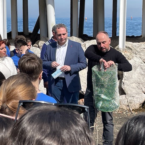 Sorrento, studenti a scuola di tutela del mare a Marina Grande 