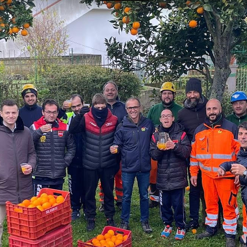 "SorrentoOrangeWeek": al via la raccolta delle arance ai giardini pubblici di Montariello