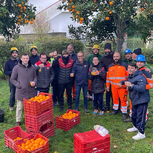 "SorrentoOrangeWeek": al via la raccolta delle arance ai giardini pubblici di Montariello