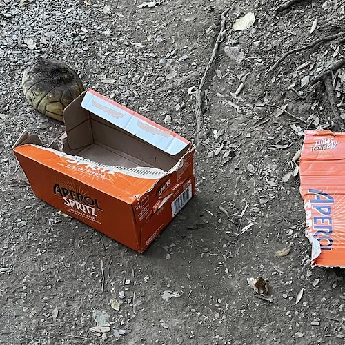 Spritz sul "Sentiero degli dei": incivili lasciano sul posto i rifiuti /foto