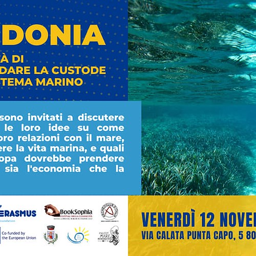 Stasera a Sorrento si discute della Posidonia, custode della biodiversità marina